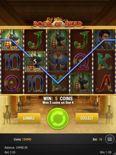 Phiên bản di động của trò chơi slot Book of Dead